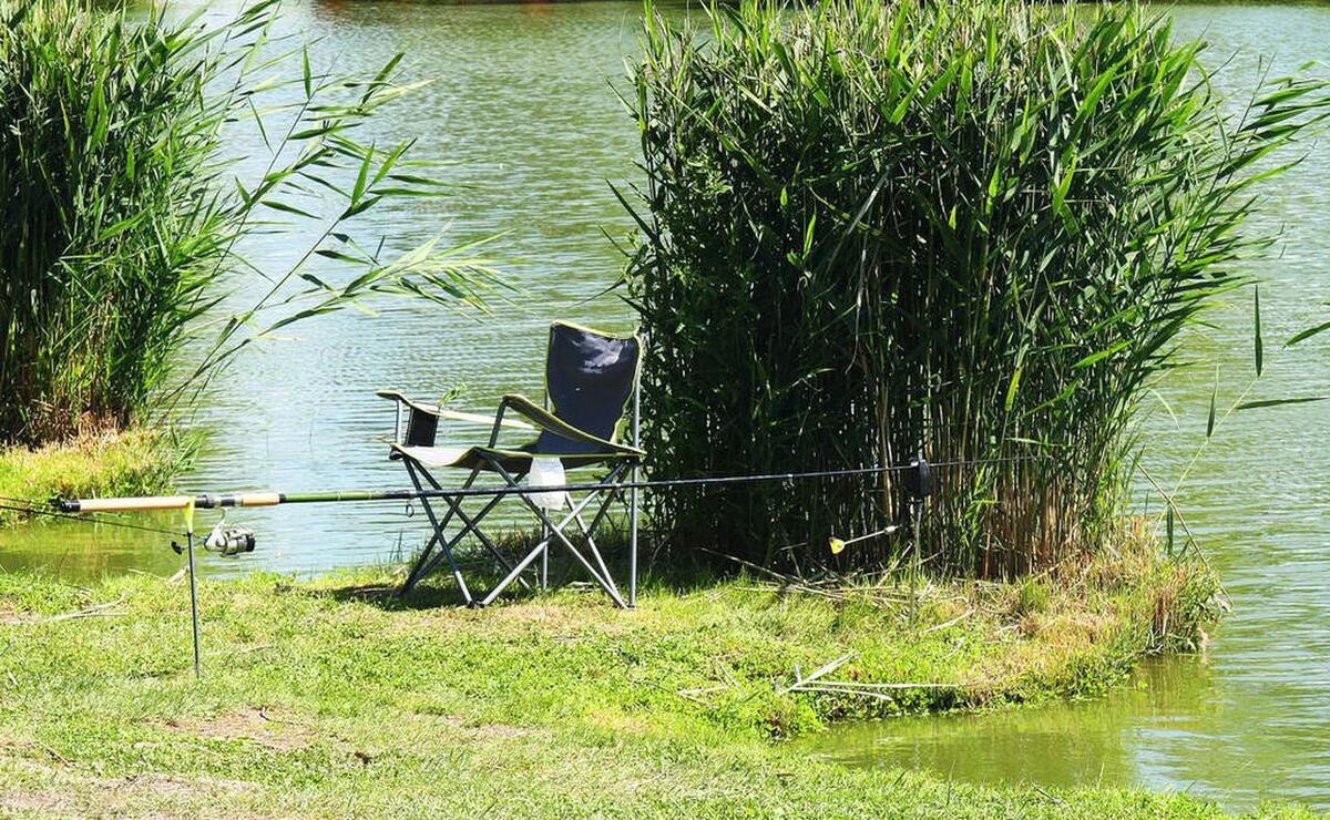 流言终结者（二）：钓竿里的猫腻