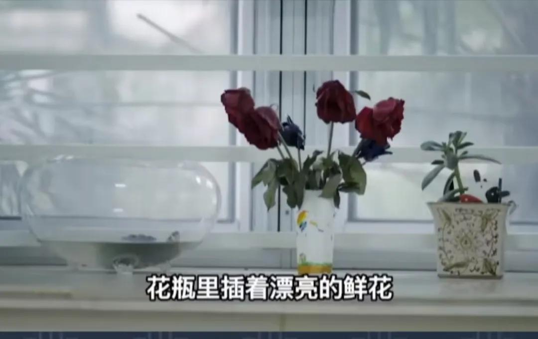 中国首家“安乐死”医院病人不再接受任何治疗,1集