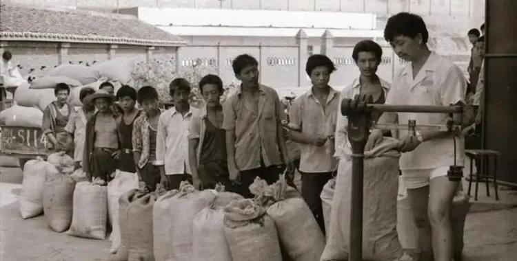 爷爷带着爸爸交公粮，排队一天也没交上，饿的哇哇大哭