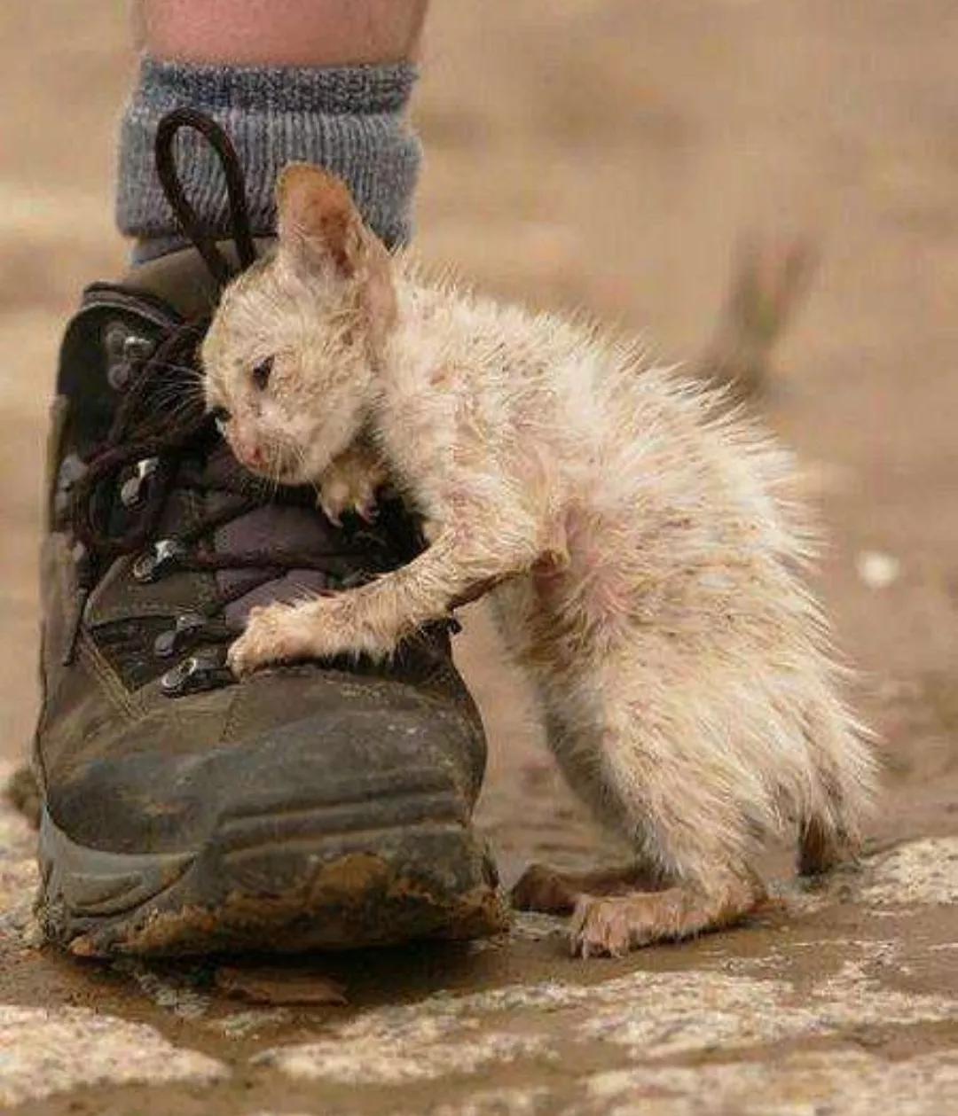 我钱多的花不完怎么办,钱多用不完怎么办