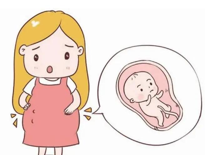 试管小白必看：女性的雌二醇数值达多少pg/mL可以取卵？