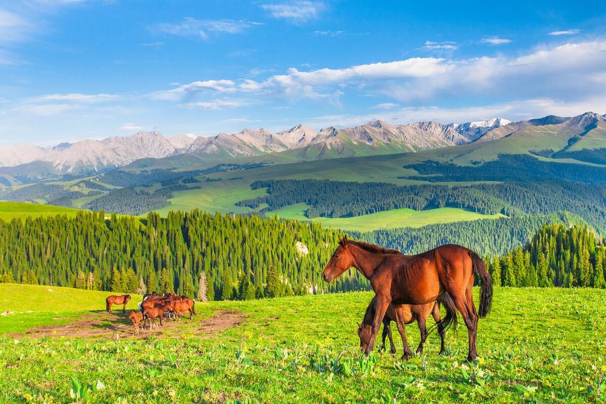 7月10他们一马当先，大吉大利，事业突飞猛进收入高歌猛涨