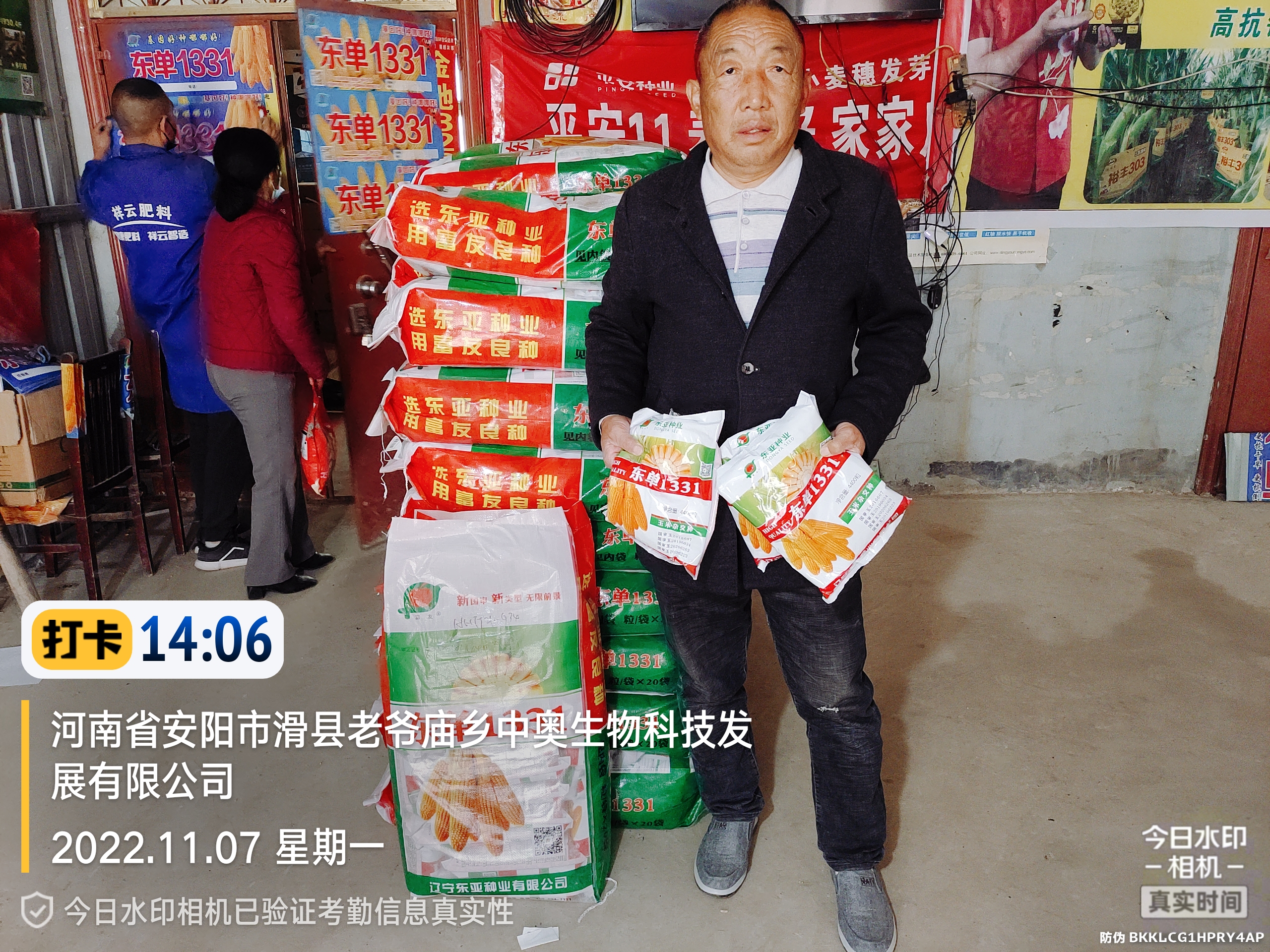 下屯卖玉米种子的怎么分出真假,玉米种子东单1331怎么样辨真假