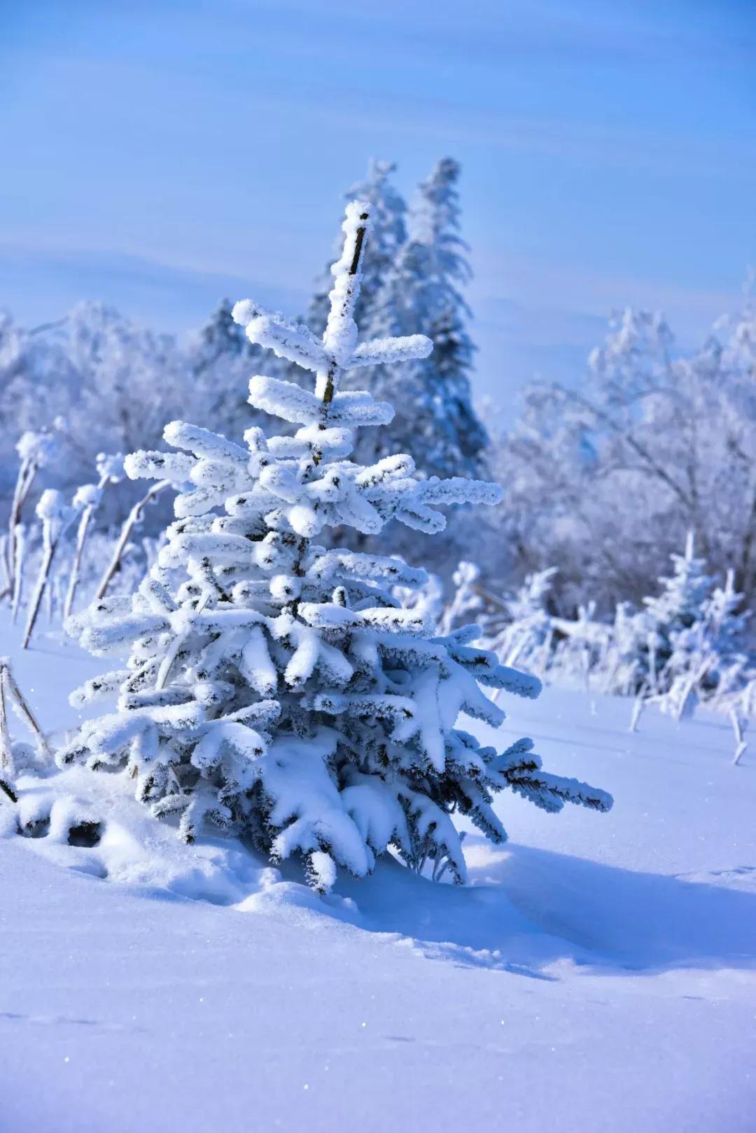 晚来天欲雪能饮一杯无全诗翻译,晚来天欲雪能饮一杯无类似的句子