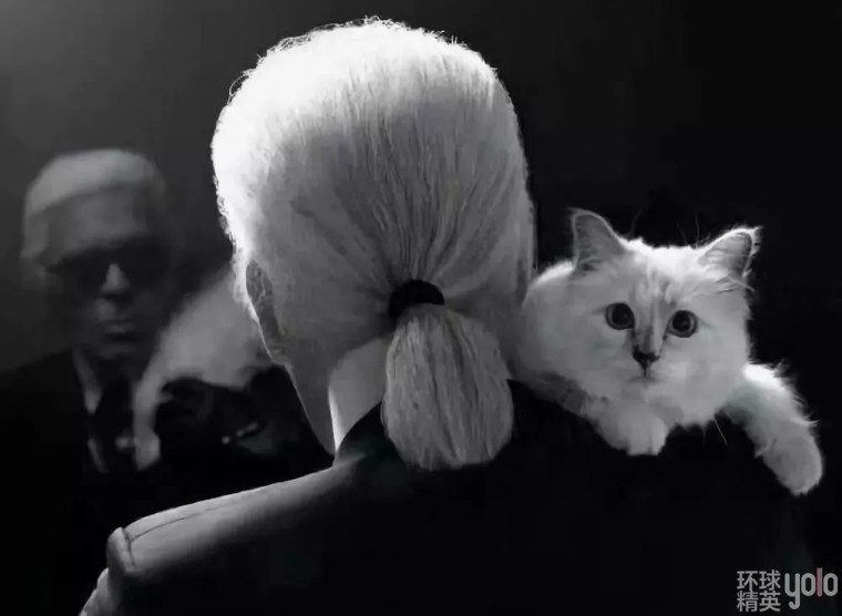 metgala绾㈡2022,metgala绾㈡2021