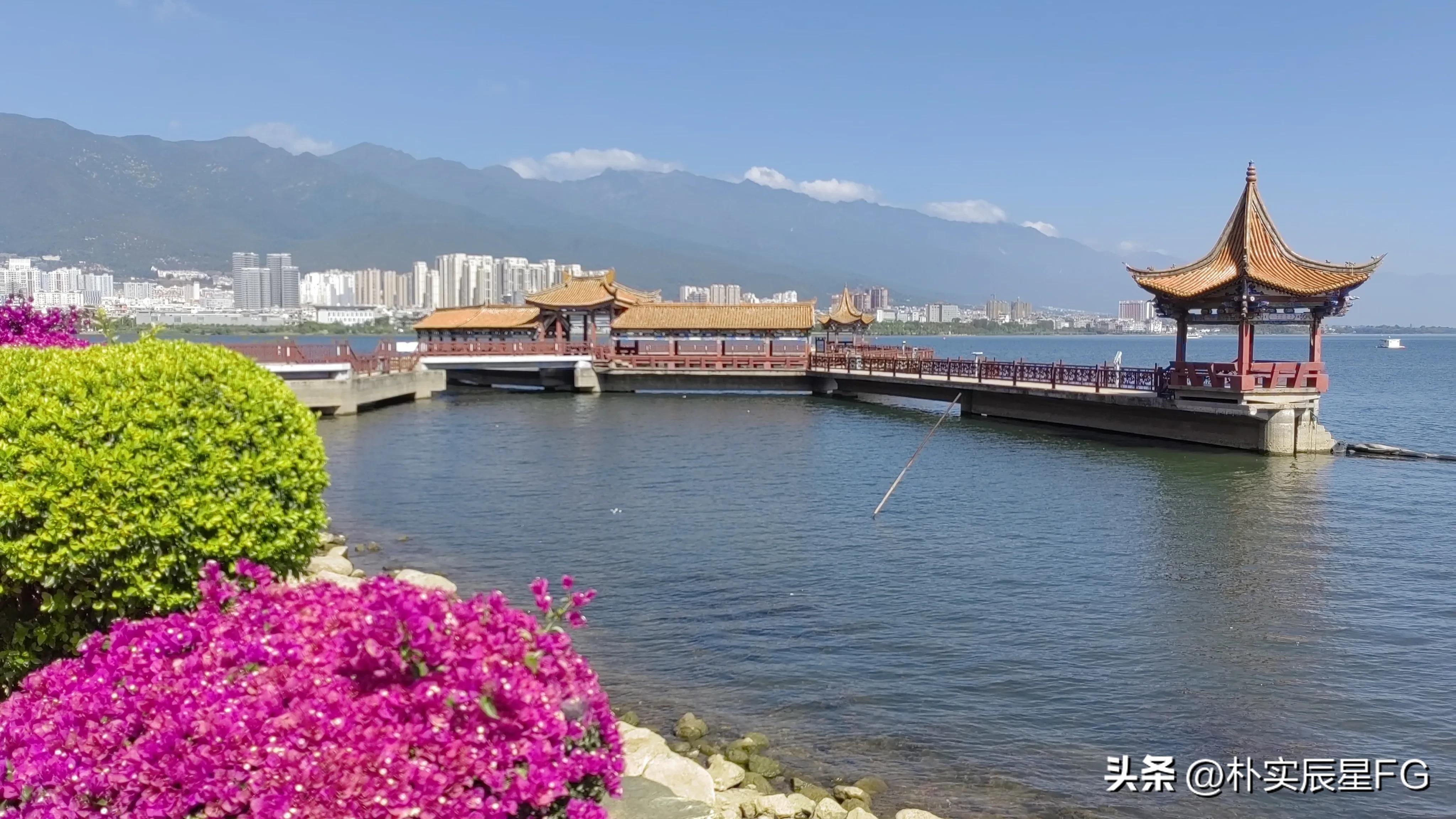 发视频头条不是首发会降低收益吗,头条创作阅读量会增加吗