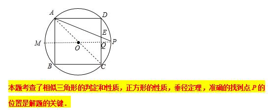 相似三角形专题精讲附例题,专题24相似三角形的判定与性质
