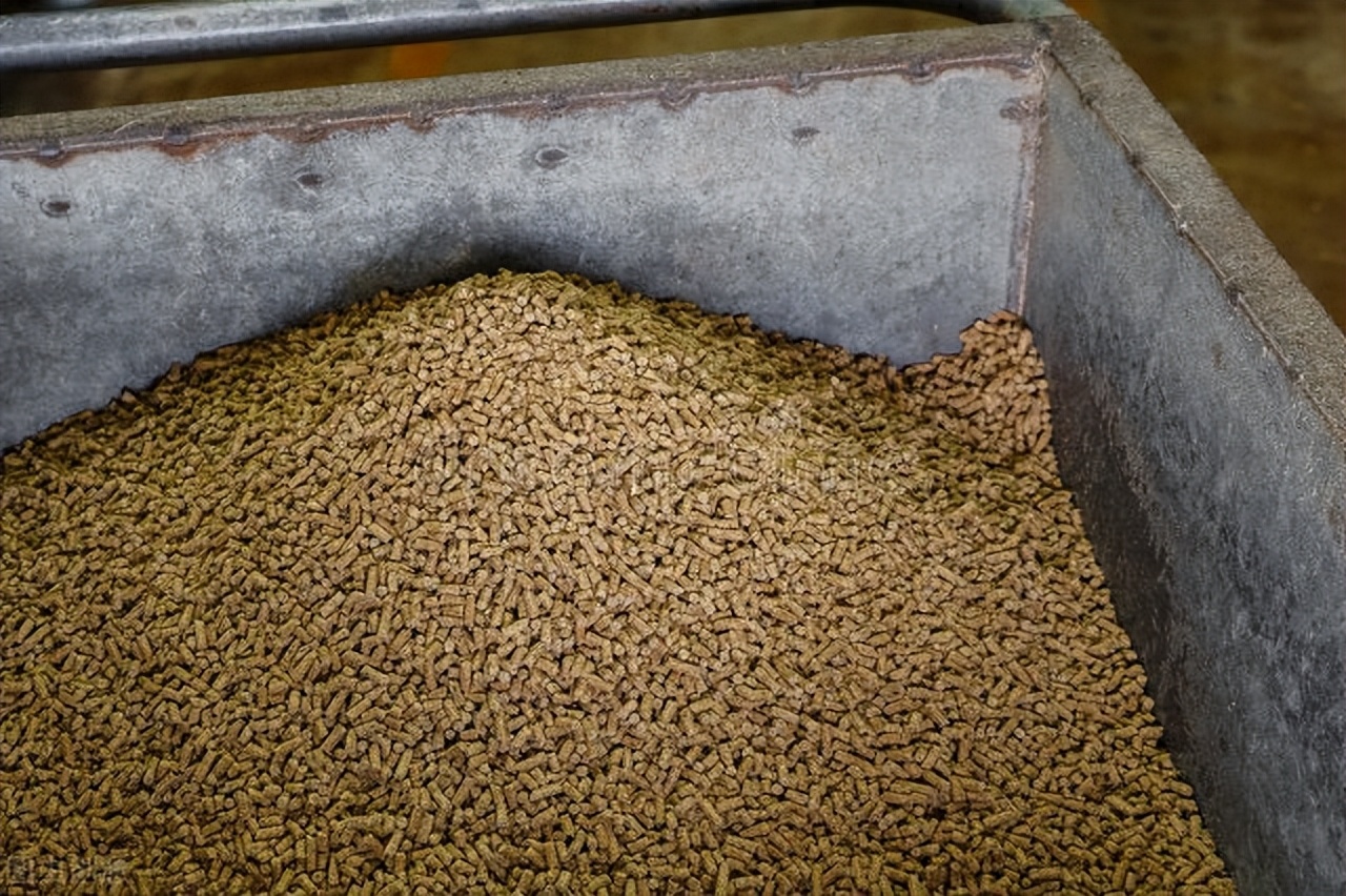 中国饲料靠进口吗,中国粮食安全靠什么