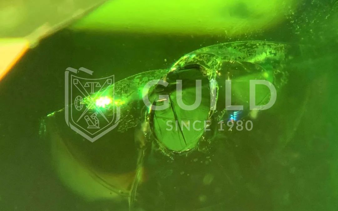 沙弗莱渐变色,沙弗莱配色