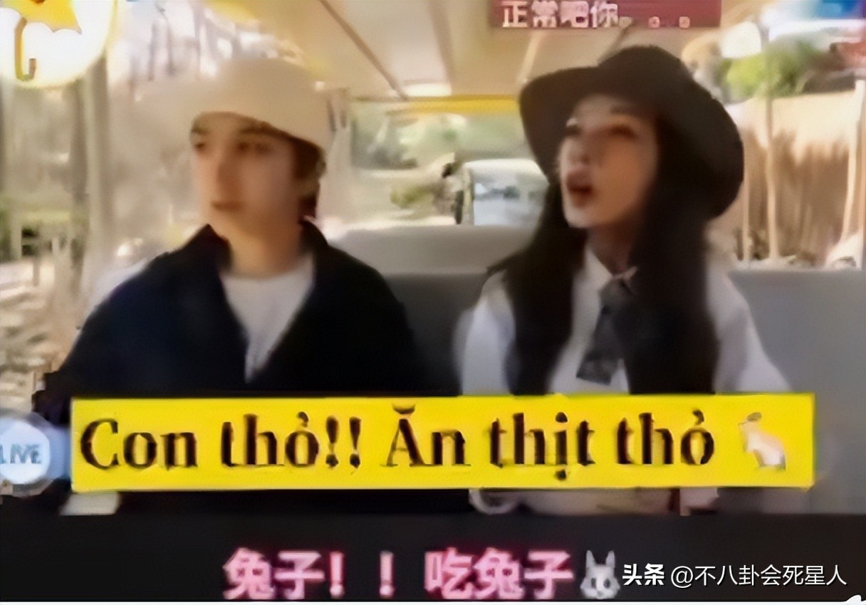 浪姐4全员照片,浪姐4颜值分析