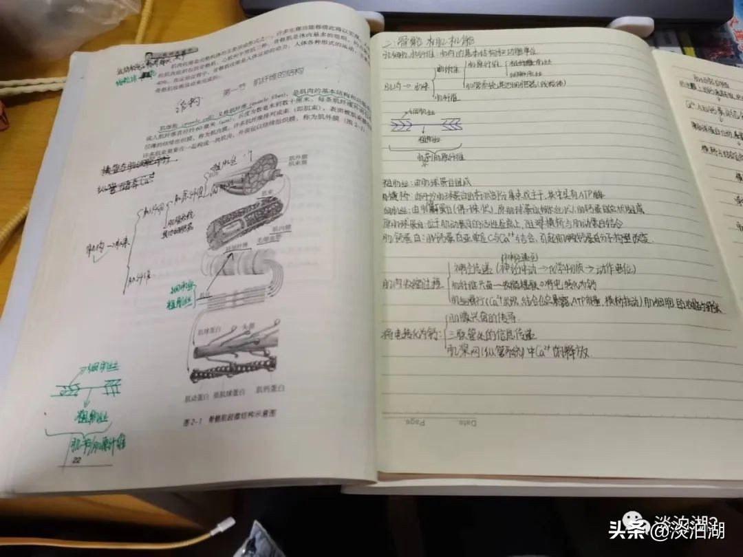 英姿飒爽的女裁判员,英姿飒爽篮球裁判