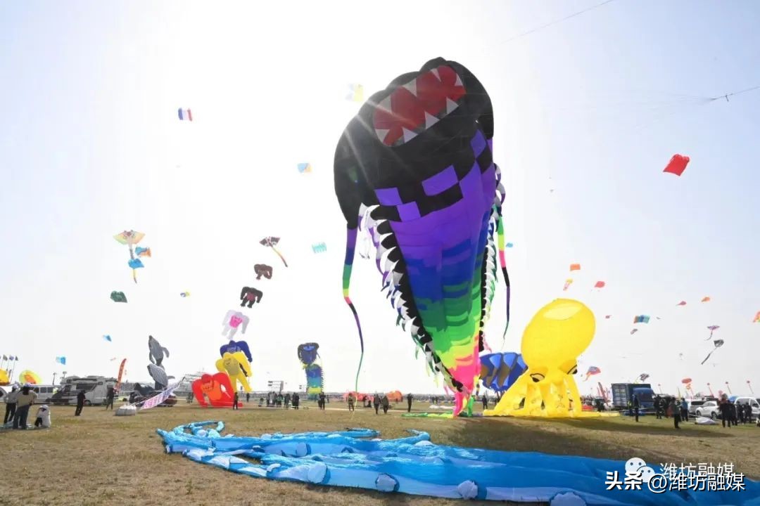 开幕照片视频,最新开幕式片段