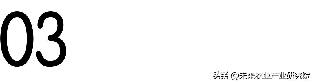 从淳化荞面饸饹,看特色小吃如何大有可为?