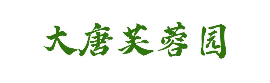 来西安过年这篇攻略就够了,来了西安应该玩什么