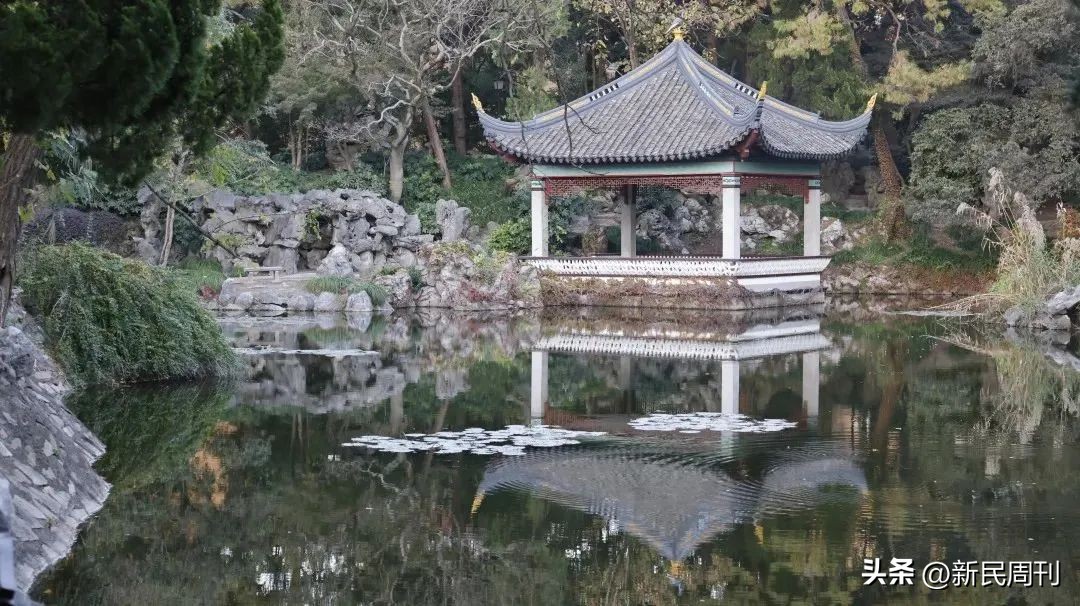 热门电视剧景点取景地打卡,上海电视剧拍摄取景地打卡