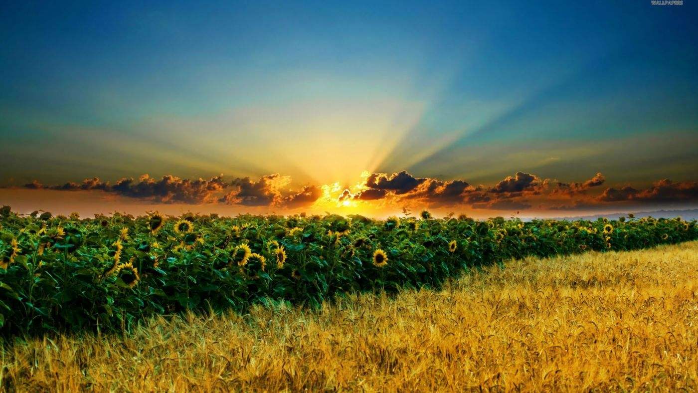 16岁男孩叛逆不上学了怎么劝学,14岁叛逆的儿子怎么做