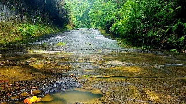 内江市足球场地,内江绿茵青训