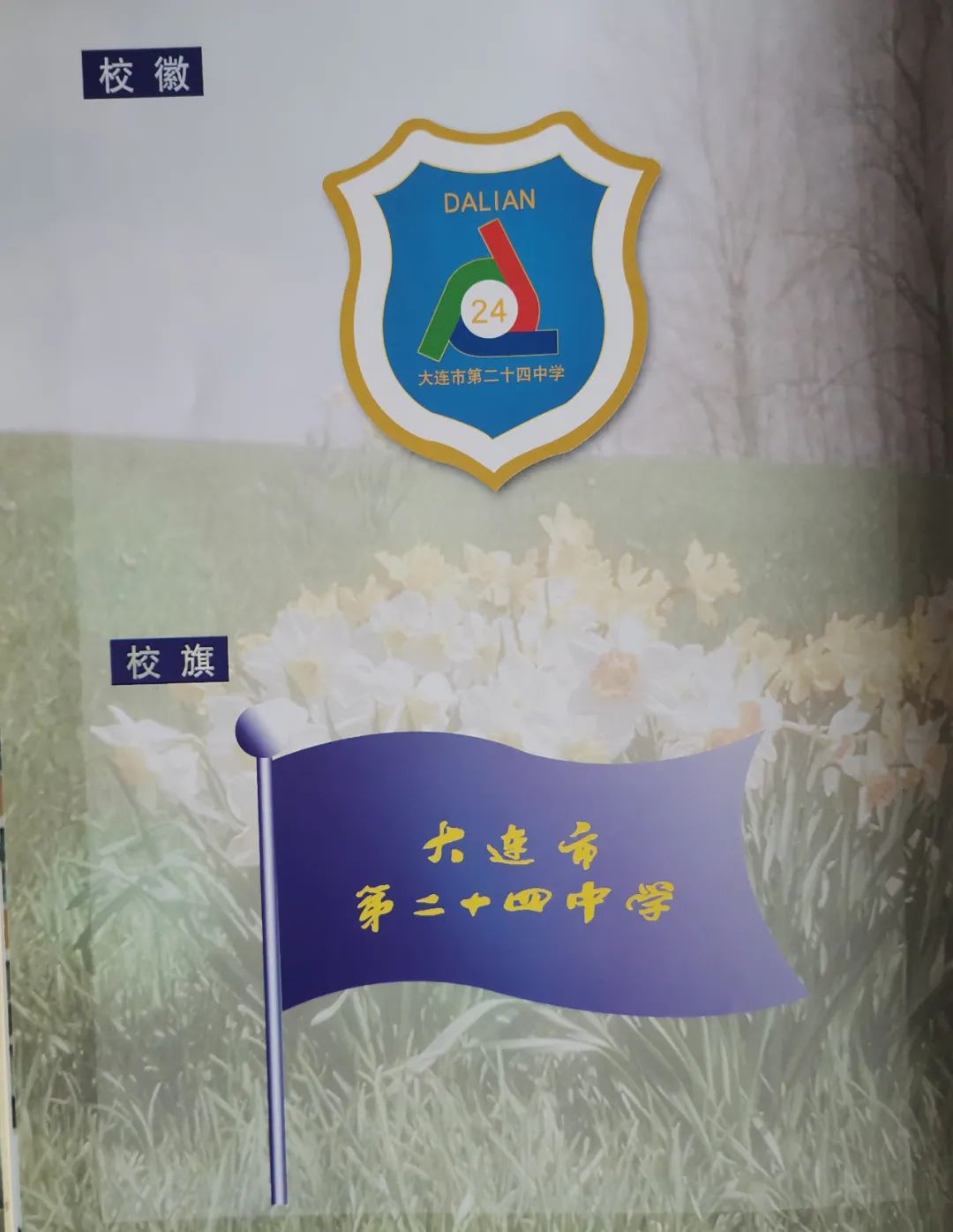 大连二十四中学清华北大可考多少,大连二十四中清华北大