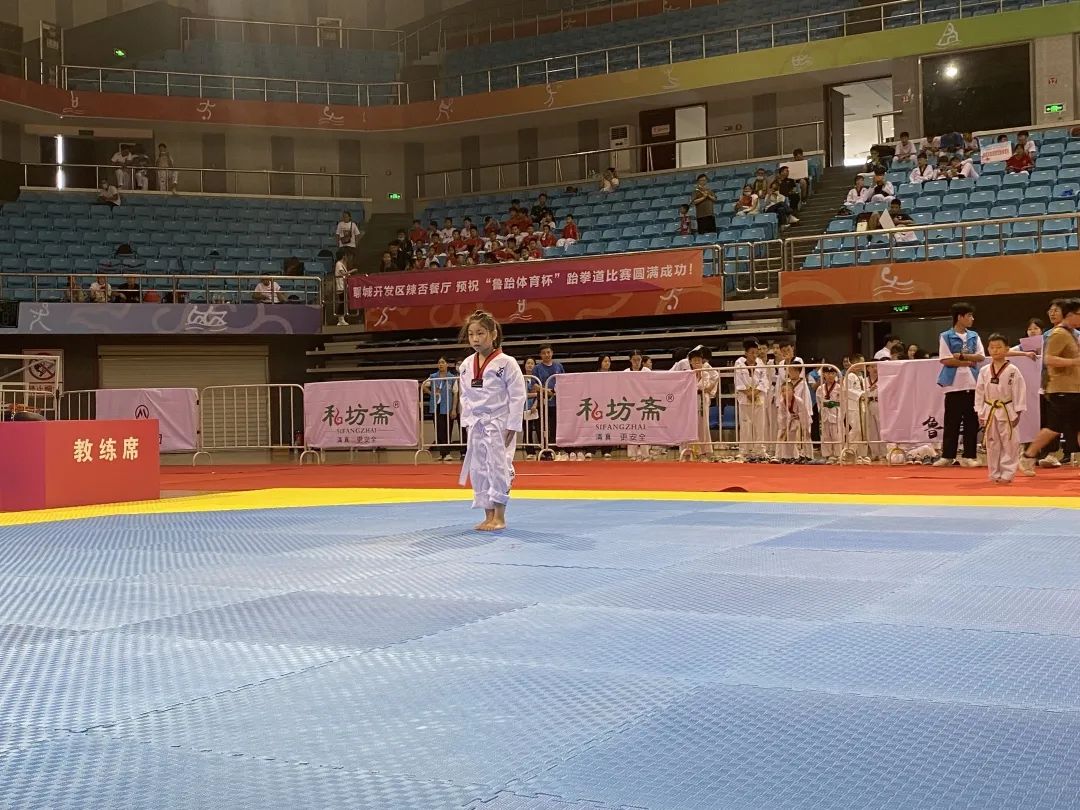 聊城第二届青少年运动会散打,聊城市第三届运动会开幕式跆拳道