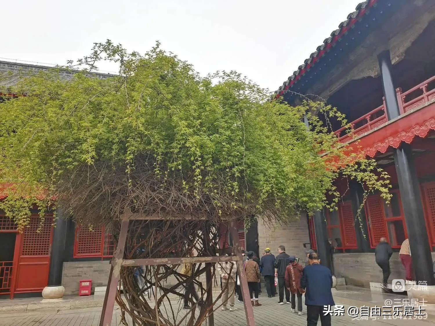 曲阜三孔游记全集,讲好山东故事三孔游记