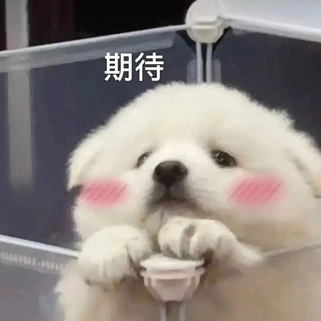 隔壁友商影像旗舰一台接一台，小米呢？