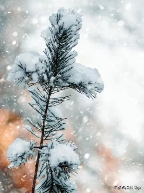 农历十一月初九的说法,十一月初九是什么日子