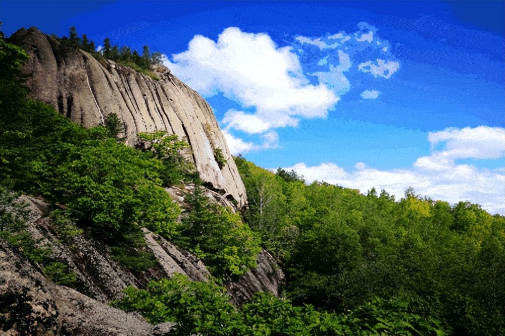 民国的长白山有种山客，他们采“桦树茸”，这活可不是谁都能干的