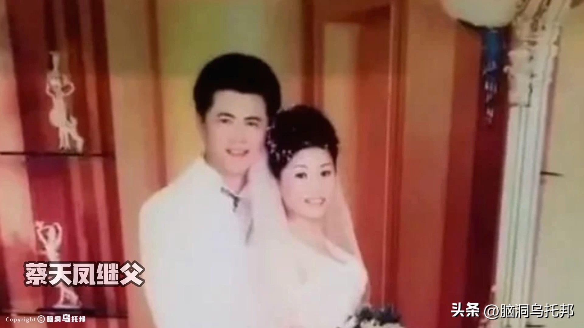 名媛碎尸案最新案情,名媛蔡天凤碎尸案细节视频