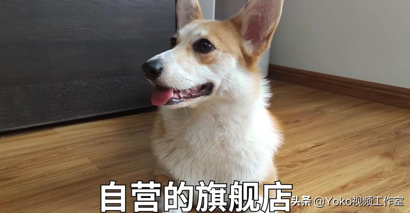 电脑网购哪个平台最好买,网购电脑哪个平台最靠谱