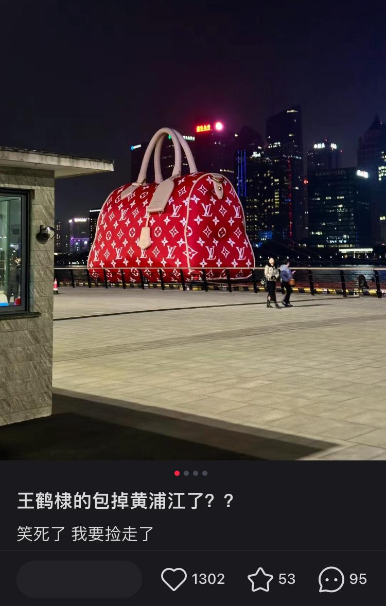 lv最大的贵妇包包,lv最大的斜挎包