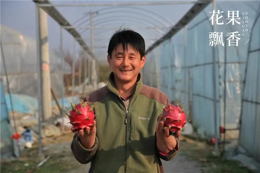 百果园种植技术,百果园的品种