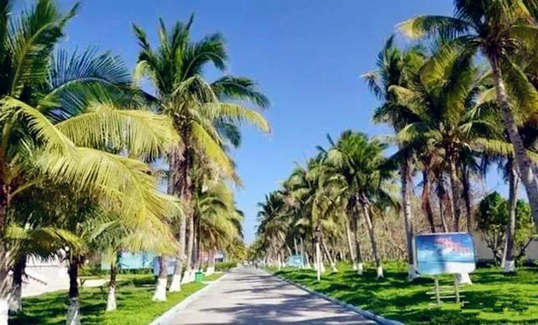 中国的马尔代夫怎么样,中国的马尔代夫岛现状如何