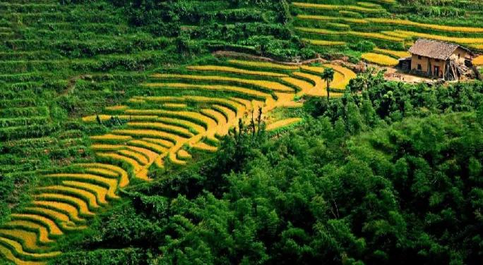 做农业想成功转变营销模式是关键,农业品牌建设与营销内容