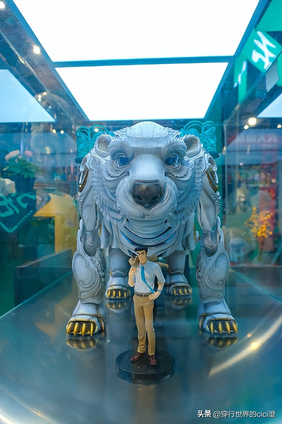 大连一日游都可以玩什么,大连一日游旅游攻略