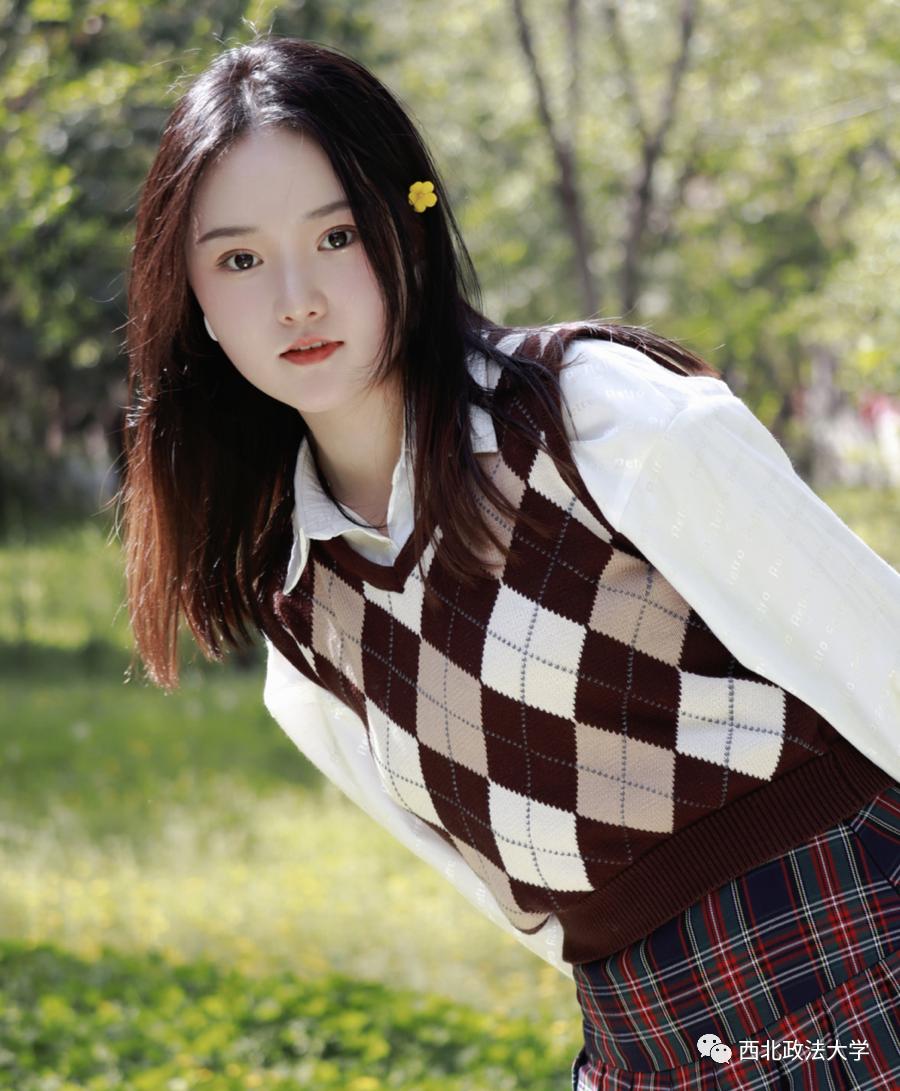 西法大到底是什么,西法大是什么意思网络用语