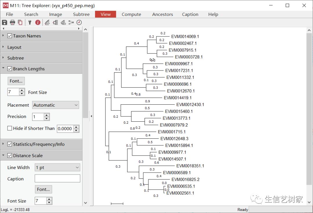 TBtools|基因家族分析,进化树、Motifs、结构域