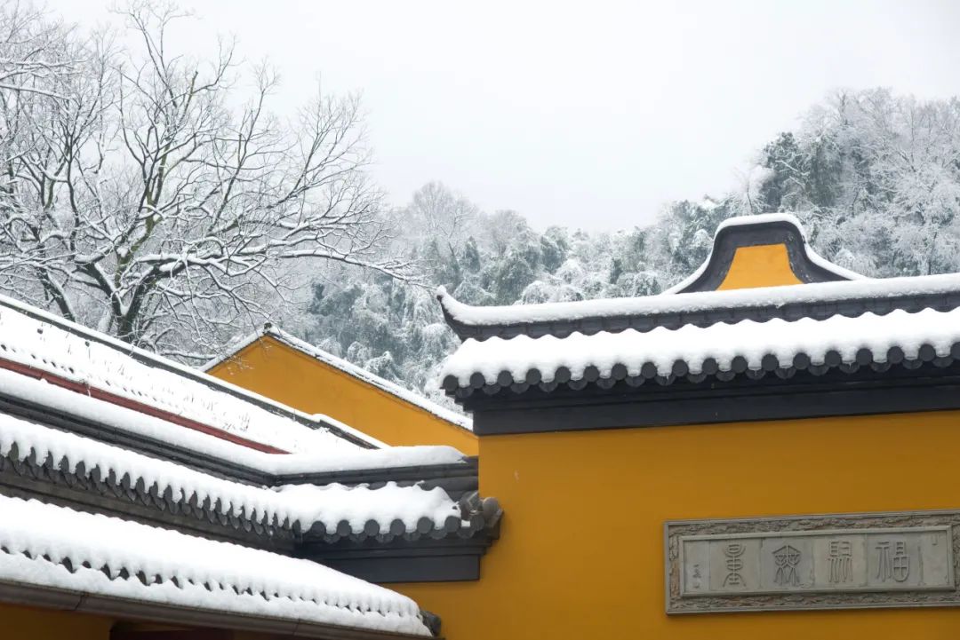 下雪适合拍什么大片,下雪到雪里面拍照片怎么拍最好看