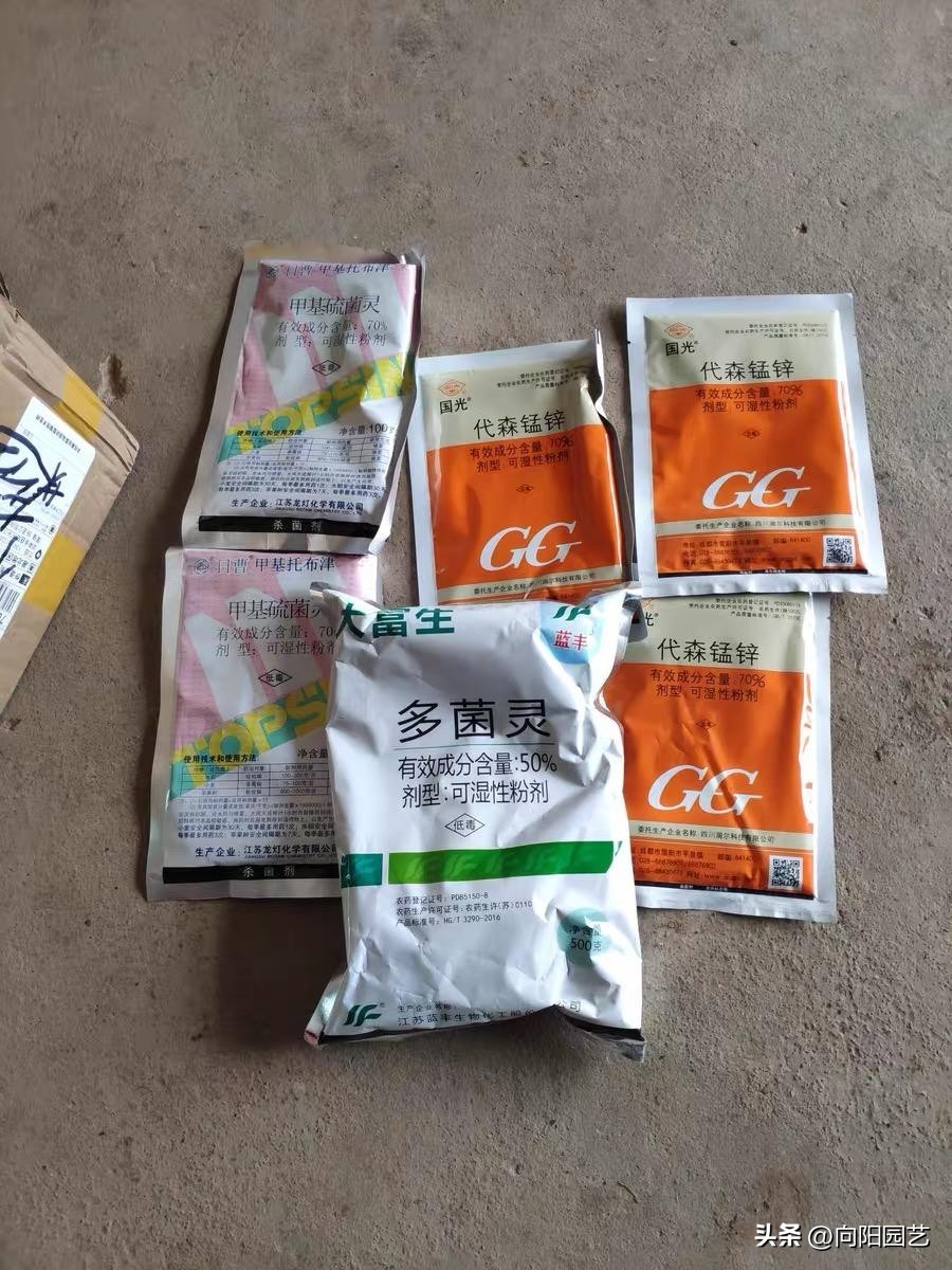 多肉种植药剂,多肉驱虫药剂