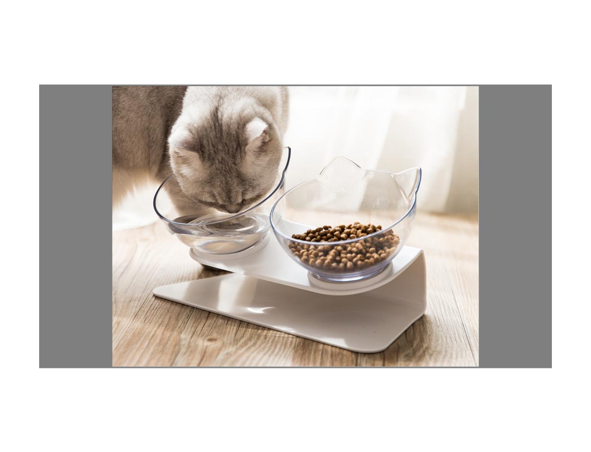 猫咪会因为天气变化不爱喝水吗,猫咪不爱喝水可以把猫粮泡水喂吗