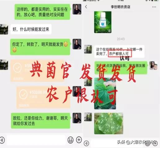 如何杀真菌细菌病毒,万能广谱杀菌剂所有病害一网打尽