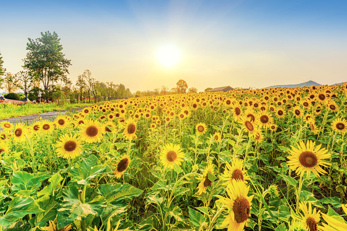 差旅费发票怎么抵扣进项税,报销差旅费时不能抵扣进项税额