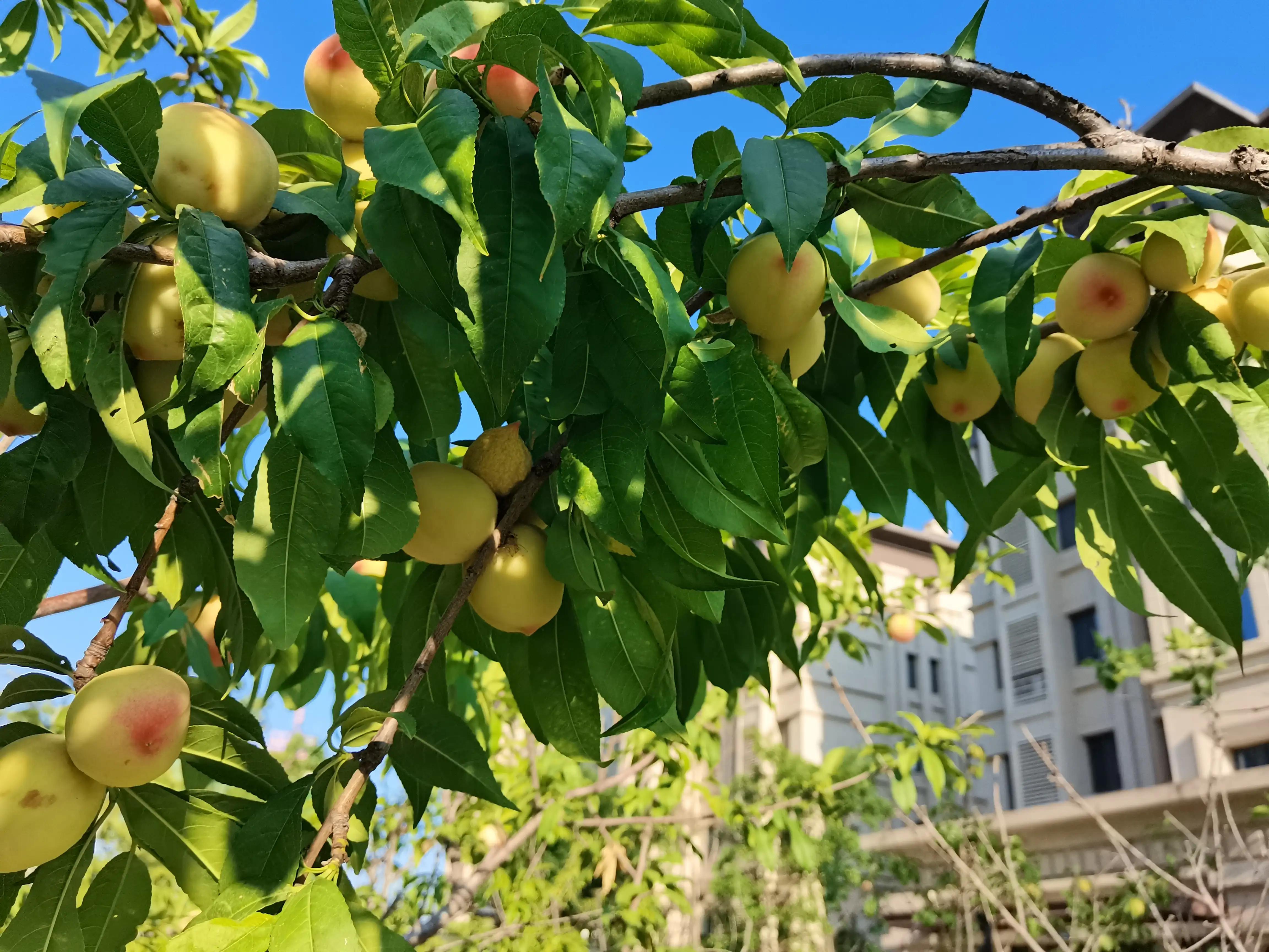 中年男人应该有一个成熟的心智,成熟稳重的男人会教你人情世故
