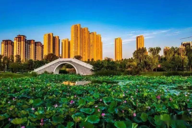 漯河赏荷,漯河看荷花的地方