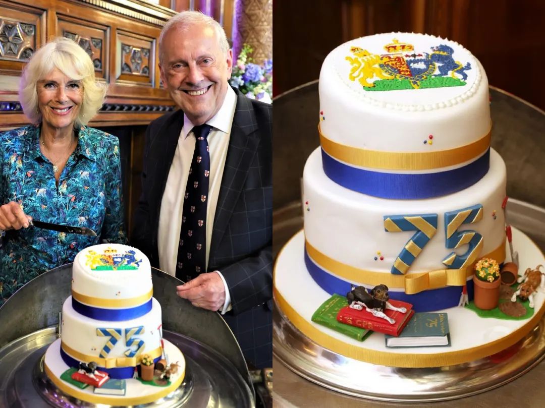 卡米拉气质逆袭不输戴安娜,卡米拉微笑回应凯特