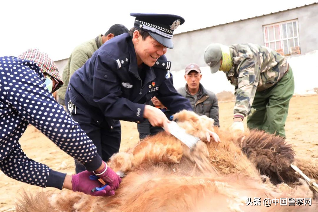 【践行总要求·总书记的话激励我奋进】宝音德力格尔:永远做牧民心中的“赛音察格达”