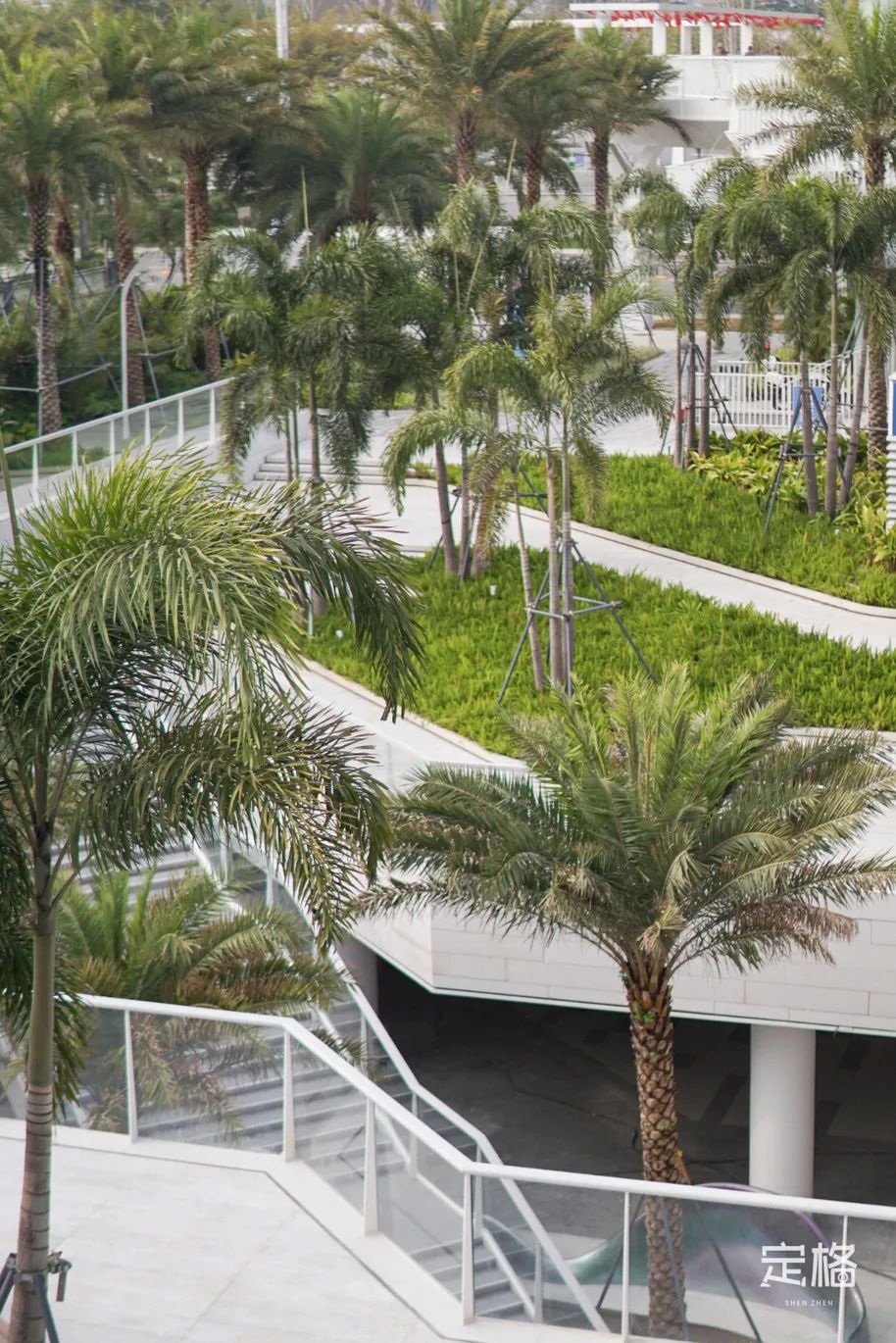 宝安滨海廊桥,深圳滨海廊桥效果图