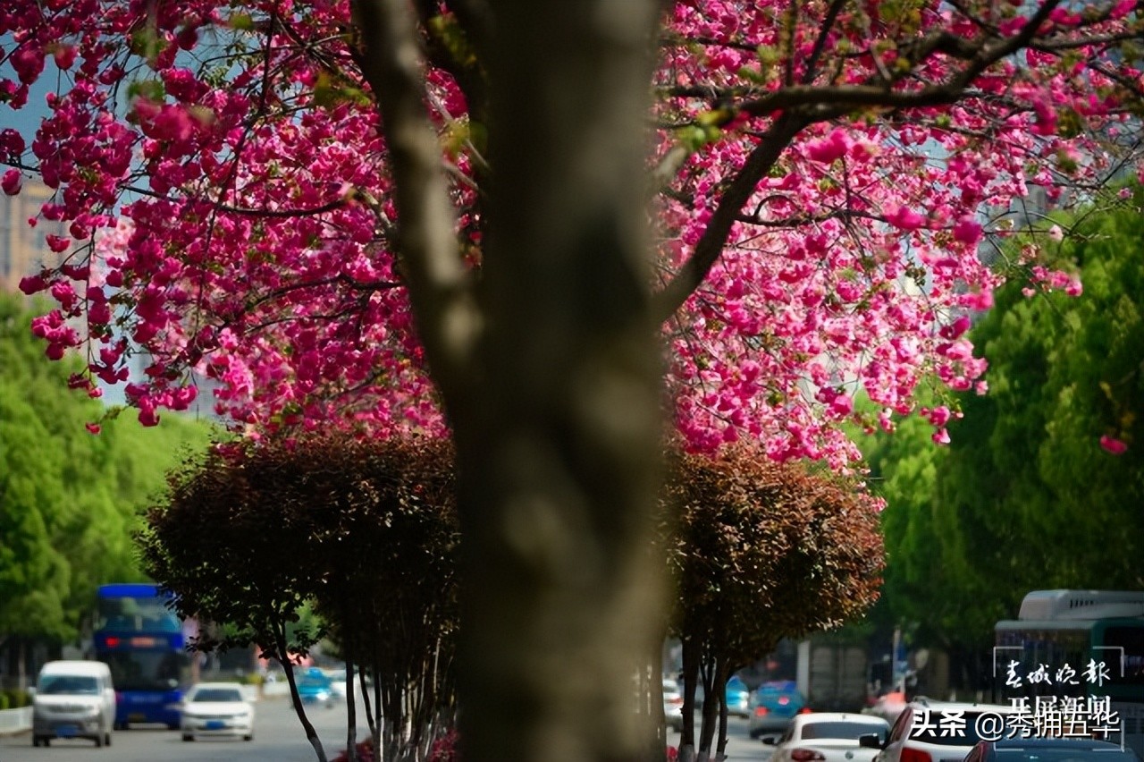 昆明5号线攻略,昆明5号线路线详细时间