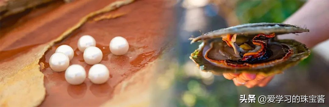 如果只能拥有一只包买什么类型,不是所有珍珠都叫澳白