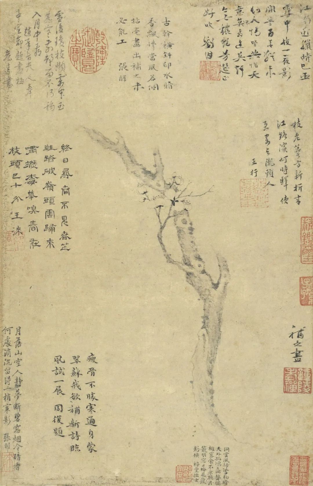 慕容看世界的视频,慕容看世界所有视频