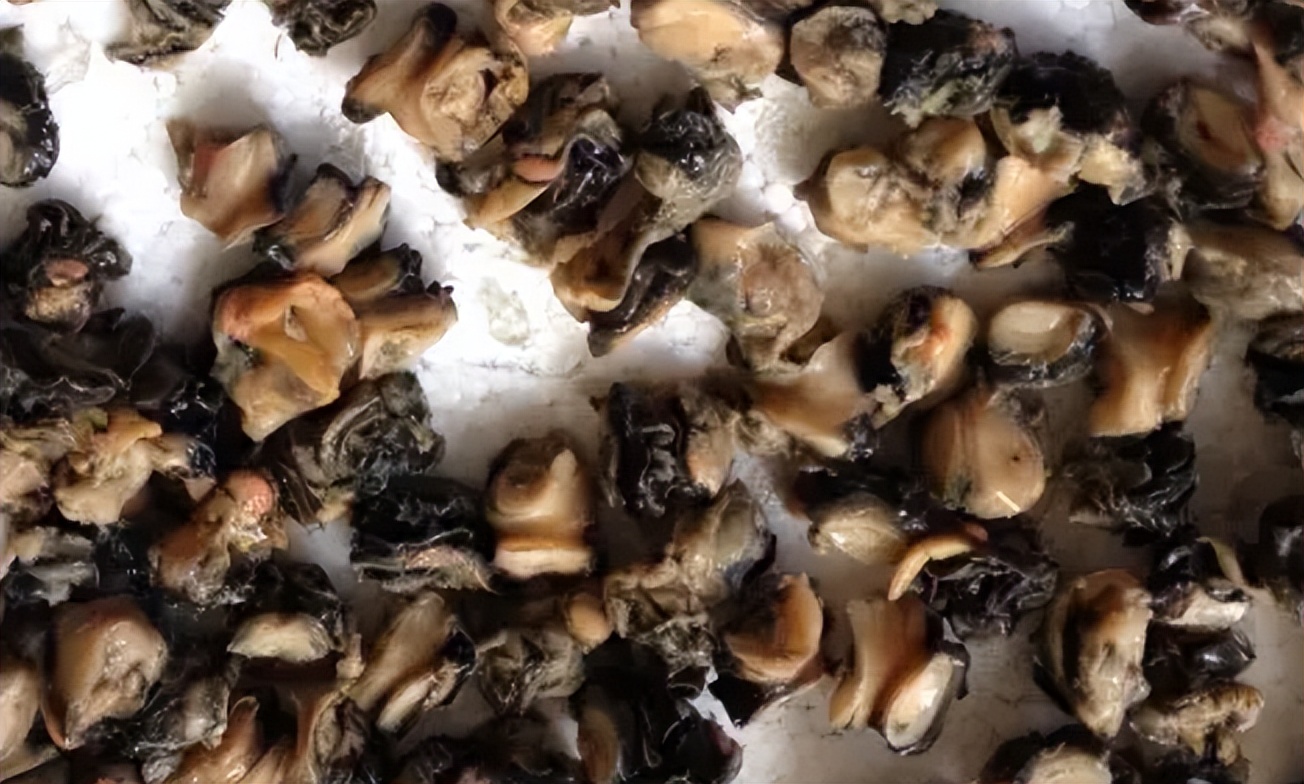 广西女童脑死亡父母捐其器官,小孩脑子取出活虫